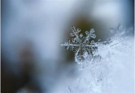 Detailná fotografia snehovej vločky