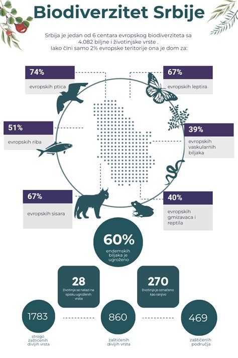 Infografika mesačných fáz s popisom