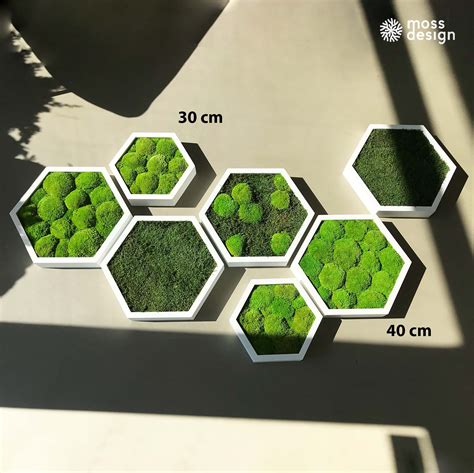 Ukážka rôznych tvarov svadobných brán - šesťuholník a trojuholník