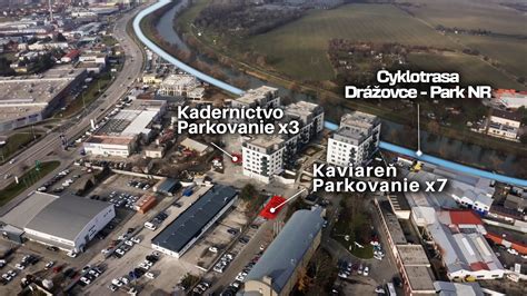 Tematické foto vyrezaných alebo chorých topoľov pri rieke