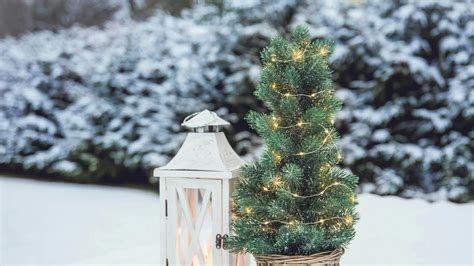záhrada alebo plot ozdobený svetelnými reťazami