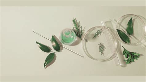 Fotografia: rozdiel medzi kvetnými a listovými púčikmi