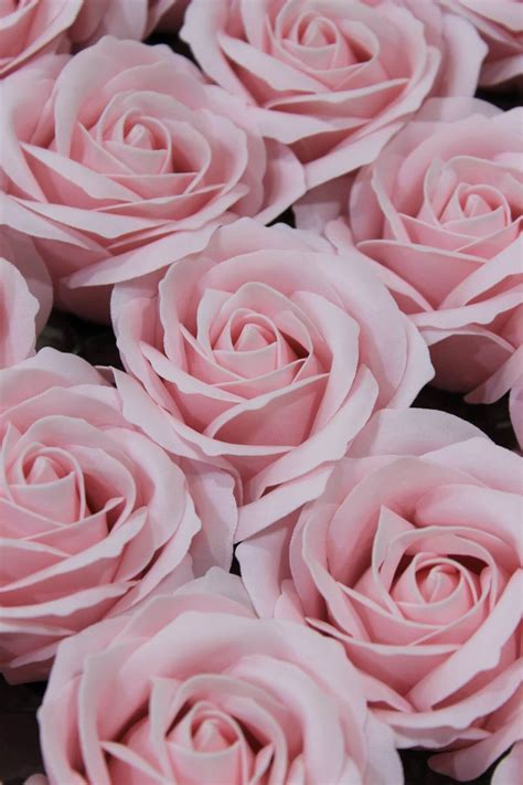 Ilustrácia: Rozkvitnutá ruža ako symbol gratulácie a oslavy.