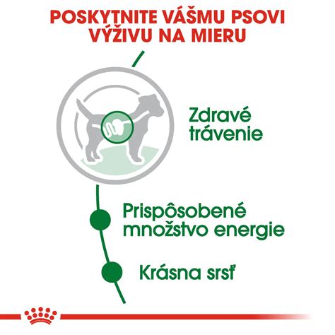 Detailná schéma znázorňujúca telesnú termoreguláciu malých plemien psov v porovnaní s veľkými plemenami