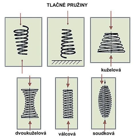 Schématické znázornenie kvitnutia vŕby rakyty a jej jahniad (bahniatok)