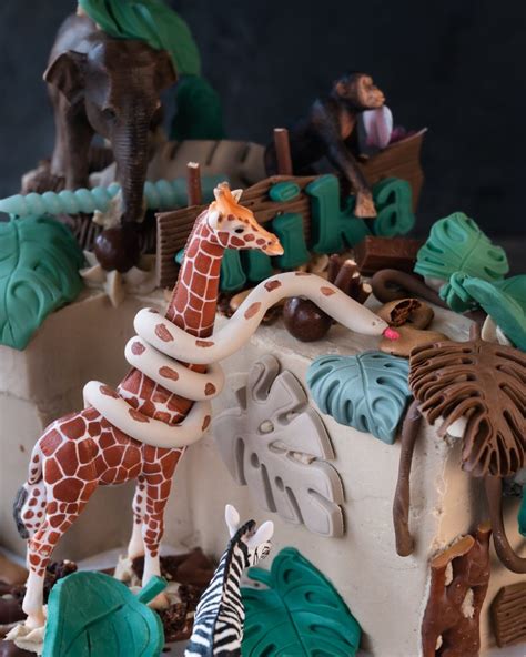 Schéma rozloženia figúrok na torte s motívom safari
