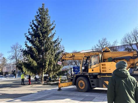 Inštalácia hlavného vianočného stromčeka v Piešťanoch pomocou ťažkej techniky