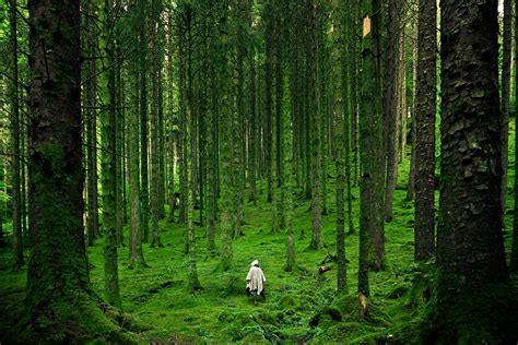 ilustračná fotografia prírody a meditačného prostredia pre duchovnú púť