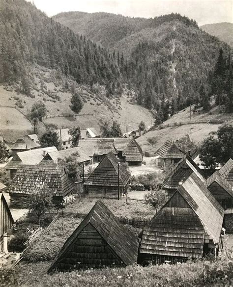 Ilustrácia melancholického jesenného vidieka s cintorínom a lesom