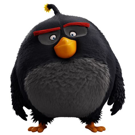 Ilustrácia postáv Angry Birds s narodeninovými doplnkami, ako sú párty čiapky a korunky
