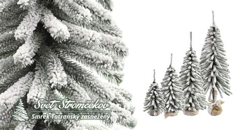 Ilustračné foto: materiály na výrobu mini májových stromčekov