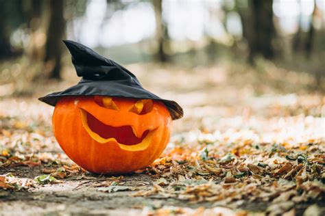infografika znázorňujúca časovú os od keltského Samhainu až po moderný Halloween