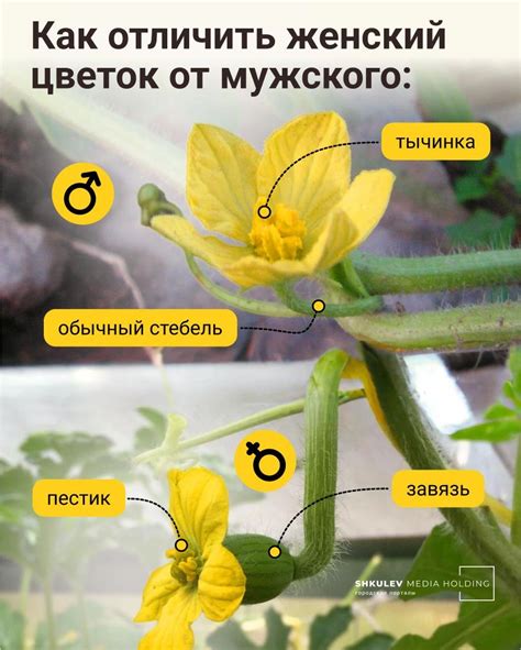 Schéma alebo fotografia zvončeka vyrobeného z kvetináča servítkovou technikou