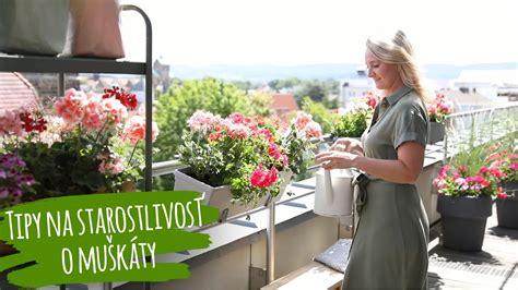 Schéma recyklácie starých predmetov: premena starej krhly a vedra na jarný kvetináč.