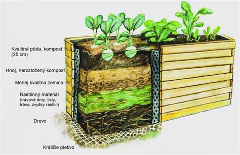 Schéma správneho vrstvenia substrátu s drenážou v kvetináči