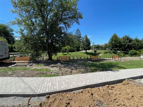 Pestovanie ľubovníka bodkovaného v záhrade alebo vo voľnej prírode.