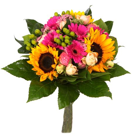 Obrázok znázorňujúci jemné kvety ako symbol nádeje