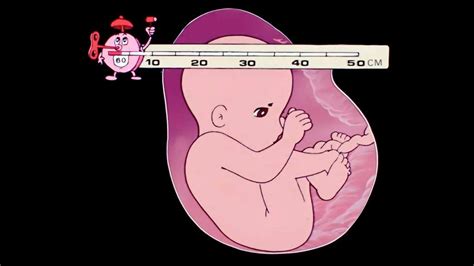 obtáčanie dna jednou ruličkou