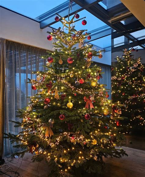 kolektív žiakov zdobiacich vianočný stromček v triede