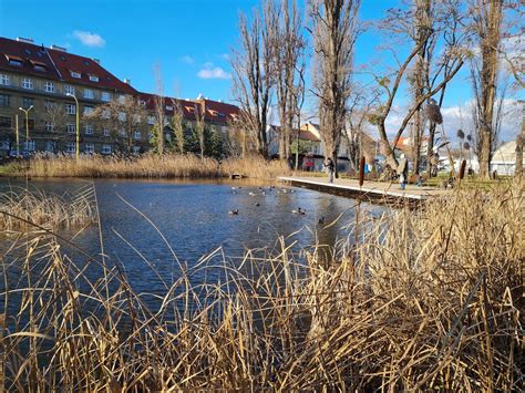 Fotografia jazierka v parku Trebišov v zime s korčuľujúcimi sa ľuďmi