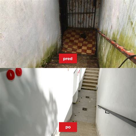 Rošáda ako zabezpečenie kráľa