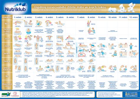 Infografika: Kľúčové míľniky vo vývoji dieťaťa v prvom roku