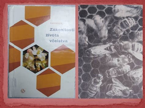 Detailná schéma života včelstva v úli