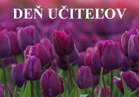 Tematické foto: Deň učiteľov, učiteľ s deťmi v triede alebo pri tabuli