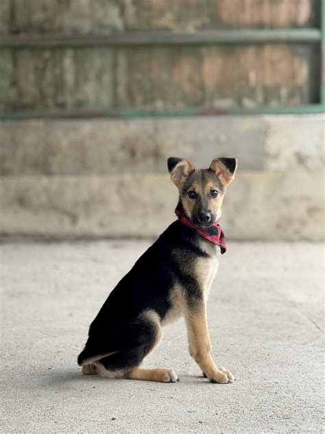 Infografika znázorňujúca míľnik 25 rokov ako spojenie mladíckej energie a začínajúcej dospelosti s ikonami darčekov