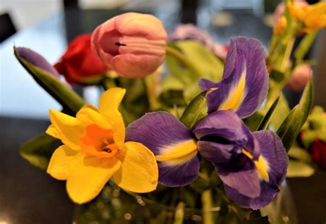 Tematické foto: jarné kvety a veľkonočné vajíčka