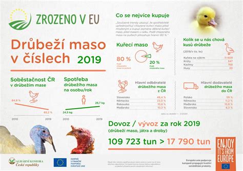 infografika spájajúca astrológiu a význam mena Tara