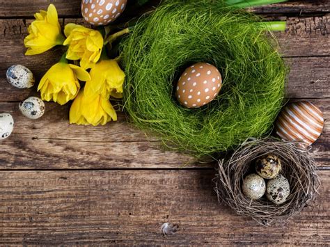 Záber na typickú americkú veľkonočnú výzdobu s košíkmi plnými sladkostí a farebnými vajíčkami v záhrade.