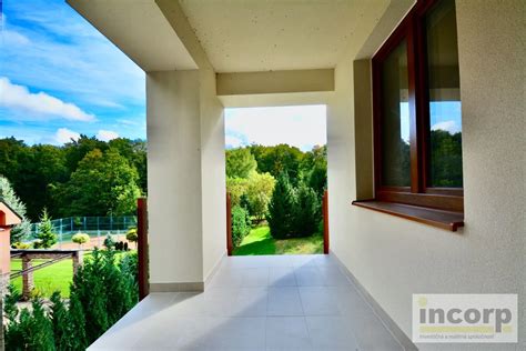 Fotografia: skupina chát v lesnom prostredí