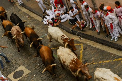 Ilustrácia behu býkov na festivale San Fermín