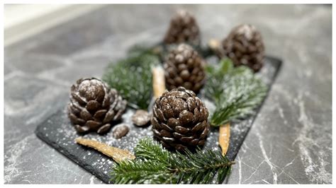 Detailný záber na vzpriamené šišky jedle Nordmannovej s kvapkami živice