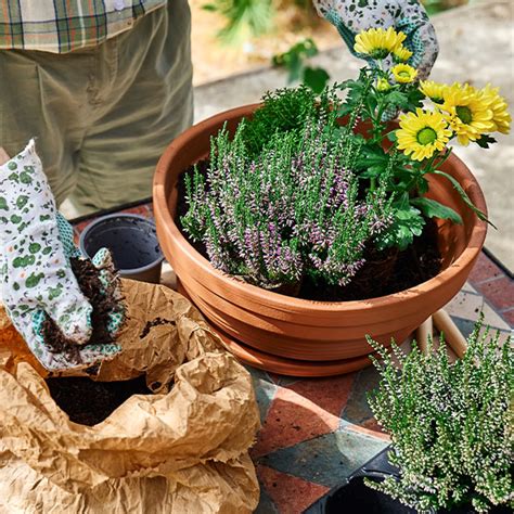 Obrázok hotového kvetináča z papier-mâché s rastlinkou