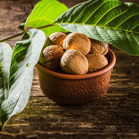 Ilustrácia lúskania orechov a vlašský orech v jadre