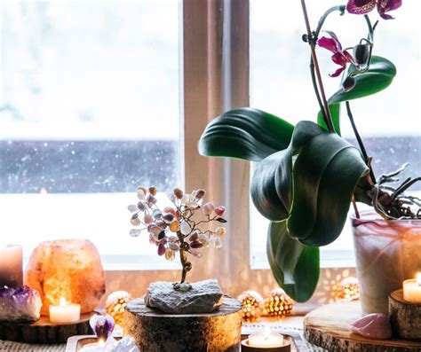 Schéma umiestnenia stromčeka šťastia v interiéri podľa sektorov Feng Shui
