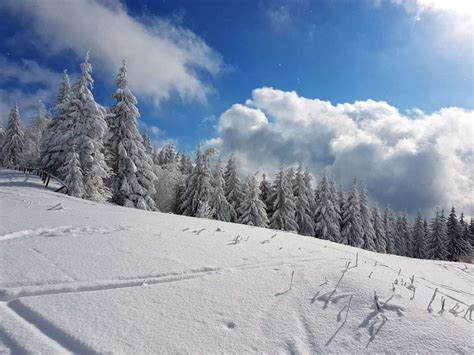 Zasnežená krajina Nízkych Tatier s lyžiarmi