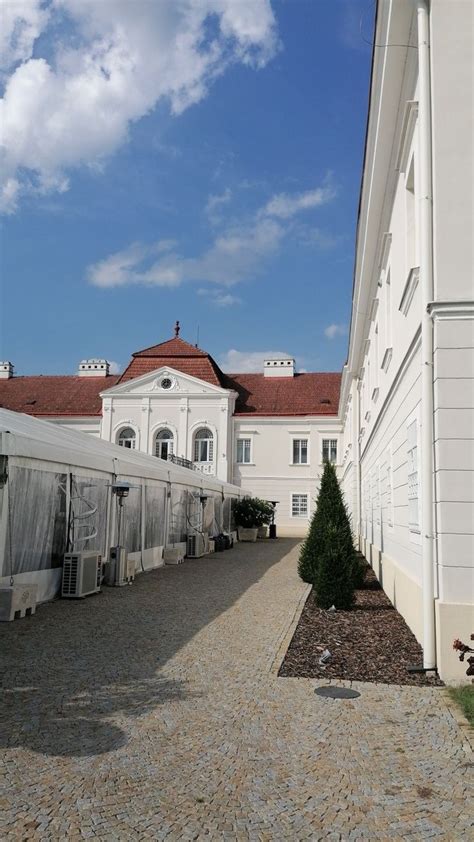 fotka svadobnej brány kaštieľa v Tomášove