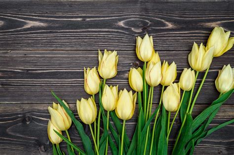 Foto: Elegantné hodinky na drevenom podklade