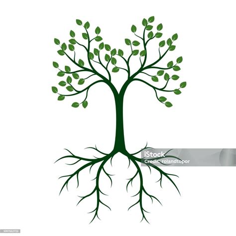 Ilustrácia mladého stromu s hlbokými koreňmi ako symbol rastu vzťahu