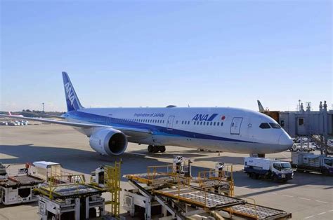 Infolgrafika zobrazujúca postup prípravy svadobnej tomboly od nákupu cien až po samotné žrebovanie