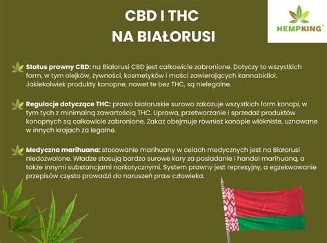 infografika o benefitoch CBD oleja