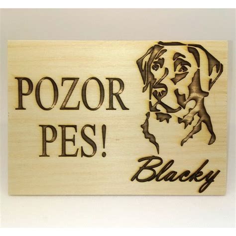 Tabuľka s obľúbenými mužskými menami psov