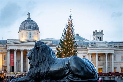 Tematické foto: nórsky vianočný stromček na Trafalgarskom námestí v Londýne