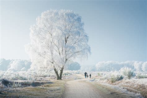 ilustračná fotografia zimnej krajiny symbolizujúca decembrový dátum menín