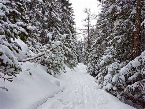 zasnežená slovenská krajina s horami