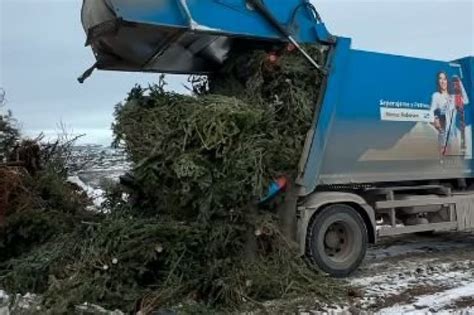 Zberné miesto pre vianočné stromčeky po sviatkoch