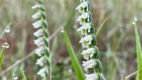 Tematické foto: veľkonočný motív s krížom, vajíčkami a jarnými kvetmi